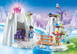 9470 PLAYMOBIL® Magic, jääkide piilotettu hinta ja tiedot | LEGOT ja rakennuslelut | hobbyhall.fi