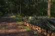 Maastokuvioitu ulkokatto Bradas CAMOforest 3x3 m, 90 g/m² hinta ja tiedot | Puutarhatyökalut | hobbyhall.fi