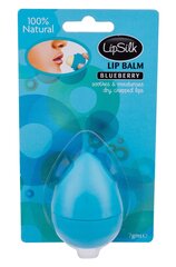 Xpel LipSilk Blueberry huulirasva 7 grammaa hinta ja tiedot | Huulipunat, huulikiillot ja huulirasvat | hobbyhall.fi