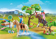 70330 PLAYMOBIL® DreamWorks Spirit River Haaste hinta ja tiedot | LEGOT ja rakennuslelut | hobbyhall.fi