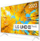 LG 43UQ76906LE.AEU hinta ja tiedot | Televisiot | hobbyhall.fi