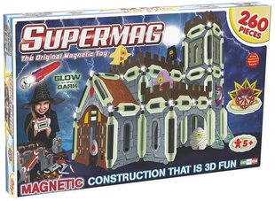 Magneettinen rakennussetti Supermag 3D Loss 0618, 260 osaa hinta ja tiedot | Supermag Lapset | hobbyhall.fi