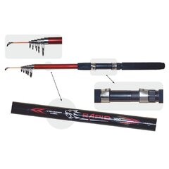 Kalastusvapa Teleskooppinen Fish2Fish, 300cm, punainen hinta ja tiedot | Fish2fish Kalastusvälineet | hobbyhall.fi