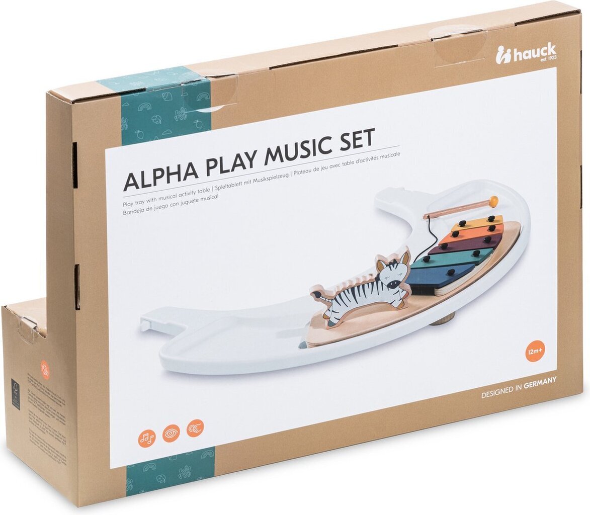 Musiikkisetti Hauch Alpha Play hinta ja tiedot | Kehittävät lelut | hobbyhall.fi