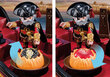 70641 PLAYMOBIL® Novelmore Burnham Flaming Ship hinta ja tiedot | LEGOT ja rakennuslelut | hobbyhall.fi