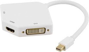 Deltaco DP-MULTI2, Mini DisplayPort, DVI-I, HDMI, DisplayPort, 0.2m hinta ja tiedot | Deltaco Tietokoneiden lisävarusteet | hobbyhall.fi