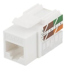 Deltaco MD - 124, RJ45 UTP ( CAT 6A ) hinta ja tiedot | Kaapelit ja adapterit | hobbyhall.fi