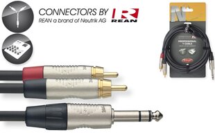 Stagg REAN 6.35mm Jack TRS - 2 x RCA 3m hinta ja tiedot | Kaapelit ja adapterit | hobbyhall.fi