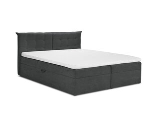 Sänky Mazzini Beds Echaveria 200x200 cm, tummanharmaa hinta ja tiedot | Mazzini Beds Huonekalut ja sisustus | hobbyhall.fi