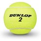 Tennispallot D TB CLUB AC 3 PET Dunlop 601334 3 kpl, osat (luonnonkumi) hinta ja tiedot | Tennisvälineet | hobbyhall.fi