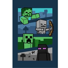 Lasten fleecepeitto Minecraft, 100x150 cm hinta ja tiedot | Päiväpeitot ja huovat | hobbyhall.fi