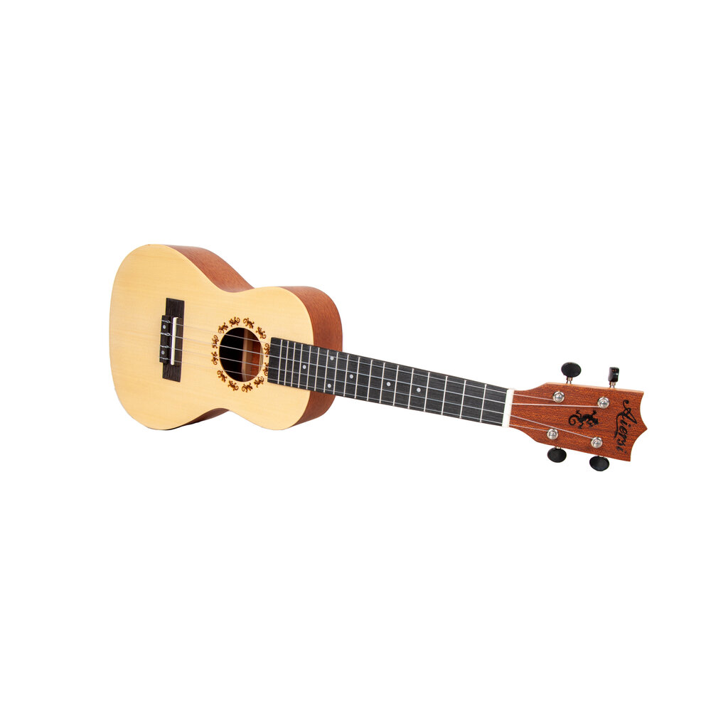 Aiersi Ukulele setti SU-034BG hinta ja tiedot | Kitarat | hobbyhall.fi