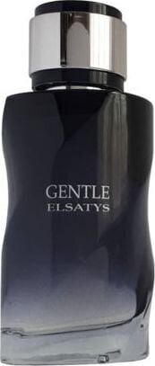 Reyane Tradition Gentle Elsatys EDP miehille 100 ml hinta ja tiedot | Miesten hajuvedet | hobbyhall.fi