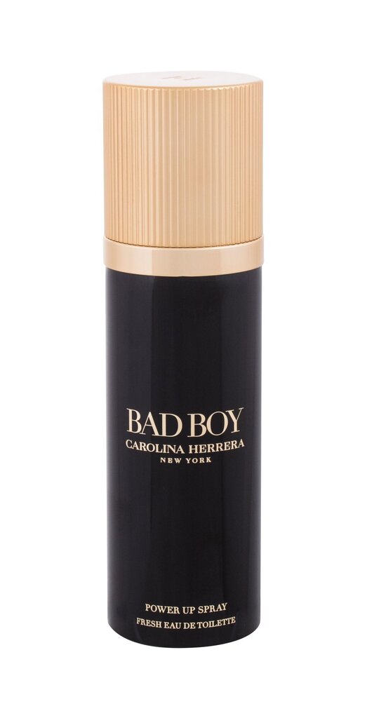 Carolina Herrera Bad Boy Power up Spray EDT miehille 100 ml hinta ja tiedot | Miesten hajuvedet | hobbyhall.fi