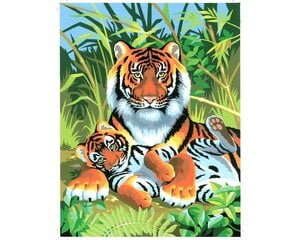 KSG Tigers -maalauskuvat, 30 x 23 cm hinta ja tiedot | Maalaa numeroiden mukaan | hobbyhall.fi