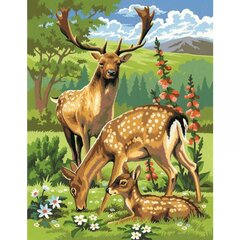 KSG Woodland Animals -maalauskuvat, 30 x 23 cm, 2 kpl. hinta ja tiedot | Maalaa numeroiden mukaan | hobbyhall.fi