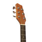 Elektroakustinen kitara Stagg SA25 DCE MAHO hinta ja tiedot | Kitarat | hobbyhall.fi