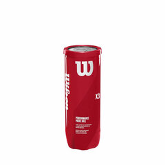 Padel-pallot Wilson WR8900801001 hinta ja tiedot | Wilson Tennis | hobbyhall.fi