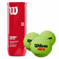 Padel-pallot Wilson WR8900801001 hinta ja tiedot | Tennisvälineet | hobbyhall.fi