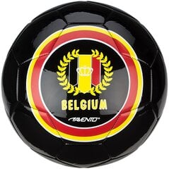 Avento World Soccer Brasil -jalkapallo, koko 5 hinta ja tiedot | Jalkapallot | hobbyhall.fi