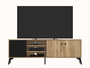 ML Meble Agis 06 TV-taso, ruskea/musta hinta ja tiedot | TV-tasot | hobbyhall.fi