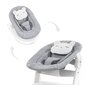 Babysitteri Hauck Alpha 2in1, Pastel Bear vaaleanharmaa hinta ja tiedot | Sitterit | hobbyhall.fi