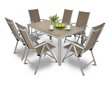 Puutarhakalustesarja Sydney, pöytä + 6 tuolia, ruskea / harmaa hinta ja tiedot | Puutarhakalusteet | hobbyhall.fi