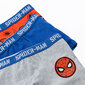 Cool Club alusvaatteet pojille Spiderman 3 kpl, LUB2510012-00 hinta ja tiedot | Poikien alusvaatteet | hobbyhall.fi