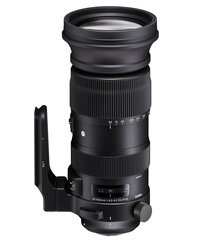 Sigma 60-600mm f/4.5-6.3 DG OS HSM Sport-objektiivi Nikon-kameralle hinta ja tiedot | Sigma Puhelimet, älylaitteet ja kamerat | hobbyhall.fi