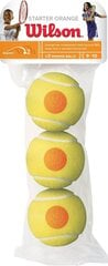 Ulkotennispallot Wilson Starter Game, 3 kpl hinta ja tiedot | Wilson Tennis | hobbyhall.fi