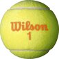 Ulkotennispallot Wilson Starter Game, 3 kpl hinta ja tiedot | Tennisvälineet | hobbyhall.fi