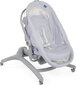 Cradle Chicco Baby Hug 4in1, Stone. hinta ja tiedot | Matkasängyt | hobbyhall.fi