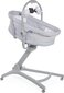 Cradle Chicco Baby Hug 4in1, Stone. hinta ja tiedot | Matkasängyt | hobbyhall.fi