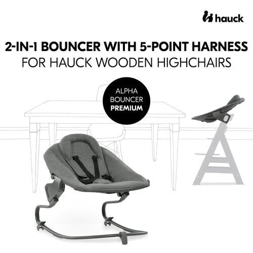 Babysitteri Hauck Alpha Premium, tummanharmaa hinta ja tiedot | Sitterit | hobbyhall.fi