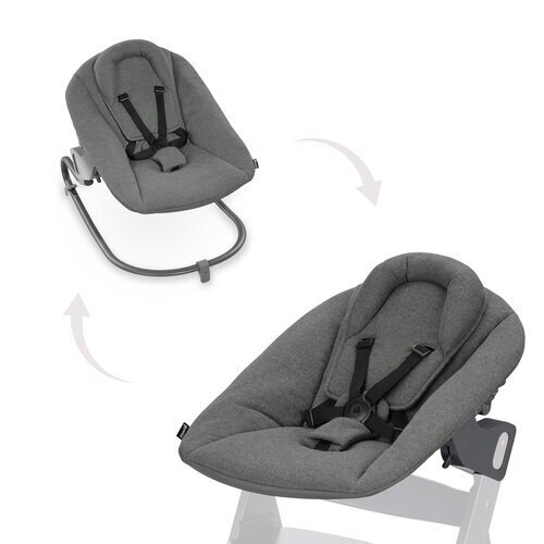 Babysitteri Hauck Alpha Premium, tummanharmaa hinta ja tiedot | Sitterit | hobbyhall.fi