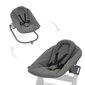 Babysitteri Hauck Alpha Premium, tummanharmaa hinta ja tiedot | Sitterit | hobbyhall.fi