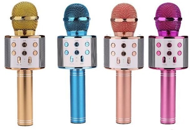 Lapsen mikrofoni WS585 hinta ja tiedot | Kehittävät lelut | hobbyhall.fi