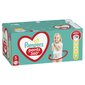 Vaipat PAMPERS Housut Mega Pack S5, 96 kpl hinta ja tiedot | Vaipat | hobbyhall.fi