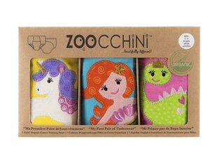 Zoocchini® pottaharjoitushousut Fairy Tales, 2-3 vuotta, 3 kpl. hinta ja tiedot | Vaipat | hobbyhall.fi