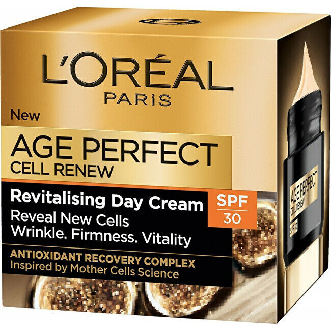 Päiväoide L'oreal Paris Age Perfect Cell Renew Revitalising, 50 ml hinta ja tiedot | Kasvovoiteet | hobbyhall.fi