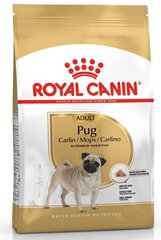 ROYAL CANIN Mini Adult koirien kuivaruokaa 1,5 kiloa hinta ja tiedot | Koiran kuivaruoka | hobbyhall.fi