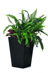 Keter Rattan Planter, S-kokoinen Kukkaruukku, ruskean värinen, 57 cm hinta ja tiedot | Kukkaruukut | hobbyhall.fi