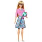 Mattel Barbie: opettaja (GJC23) hinta ja tiedot | Tyttöjen lelut | hobbyhall.fi