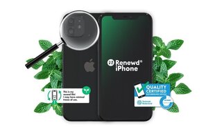 Iphone 11 128GB RND-P141128 hinta ja tiedot | Renewd Puhelimet, älylaitteet ja kamerat | hobbyhall.fi