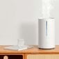 Ilmankostutin Xiaomi Smart Humidifier 2 hinta ja tiedot | Ilmankostuttimet | hobbyhall.fi