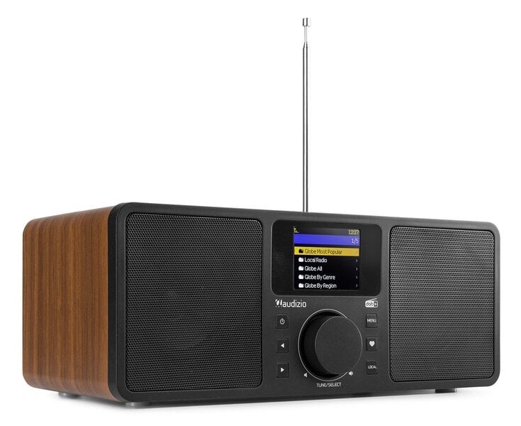 Audizio Rome WIFI Internet Stereo DAB+ Radio Puu