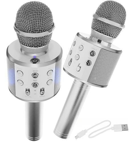 Lasten mikrofoni WS858, hopea hinta ja tiedot | Kehittävät lelut | hobbyhall.fi