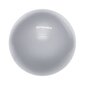 Voimistelupallo Spokey FITBALL III harmaa, 65 cm hinta ja tiedot | Voimistelupallot | hobbyhall.fi