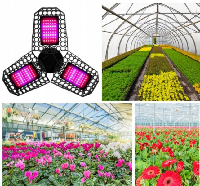 LED-lamppu kasveille / Phyto lamppu / E27 / 40W E18633471 hinta ja tiedot | Sisäpuutarhat ja kasvilamput | hobbyhall.fi