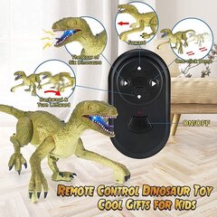 Dinosaurus Velociraptor, jossa on ohjauspaneeli, ääni- ja valoefektit hinta ja tiedot | Cooler Stuff Co Lapset | hobbyhall.fi